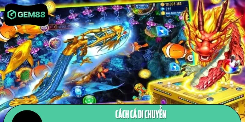 Ngư thủ cần nắm rõ cách cá di chuyển