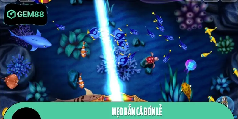 Bắn cá đơn lẻ là phương pháp có tính hiệu quả cao