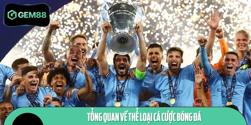 Tổng quan về hình thức dự đoán môn thể thao vua