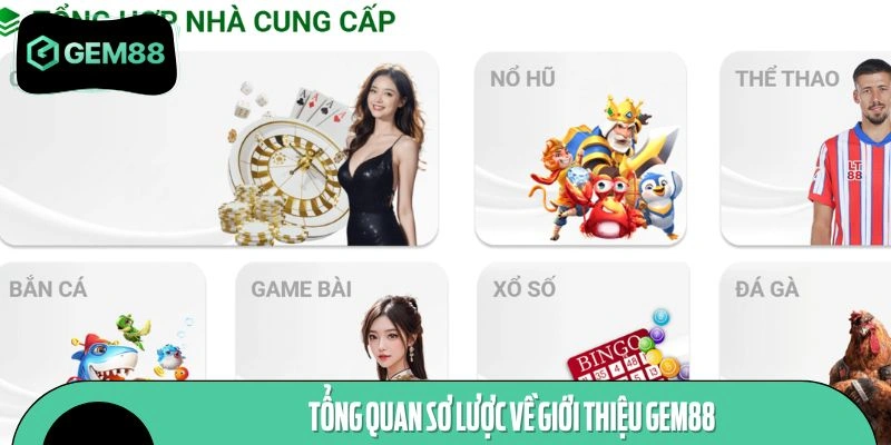 Tổng quan sơ lược về nền tảng hàng đầu hiện nay