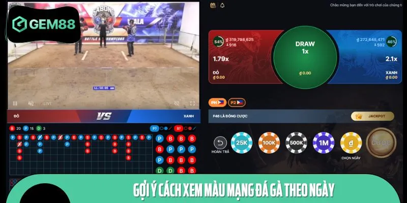 Gợi ý cách xem màu mạng đá gà theo ngày