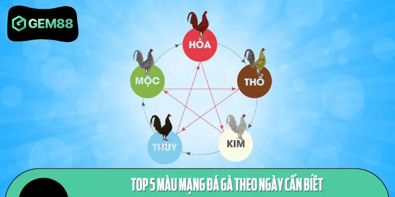 Top 5 màu mạng đá gà theo ngày cần biết